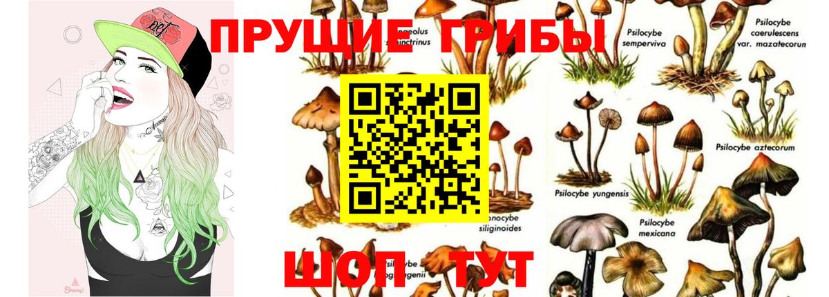 Красноперекопск  Галлюциногенные грибы мицелий  Галлюциногенные грибы GOLDEN TEACHER  Вход с VPN 